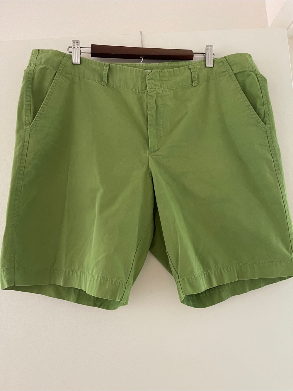 GAP Light Green Flat-Front Chino Shorts